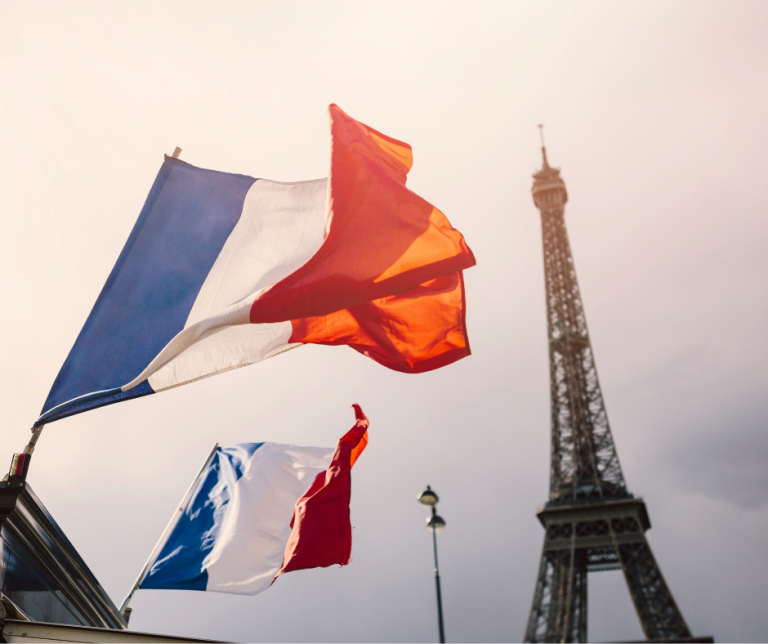 Reducere pret motorina Franta