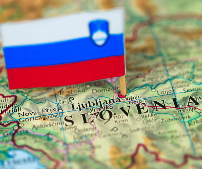 Plafonare pret motorina Slovenia